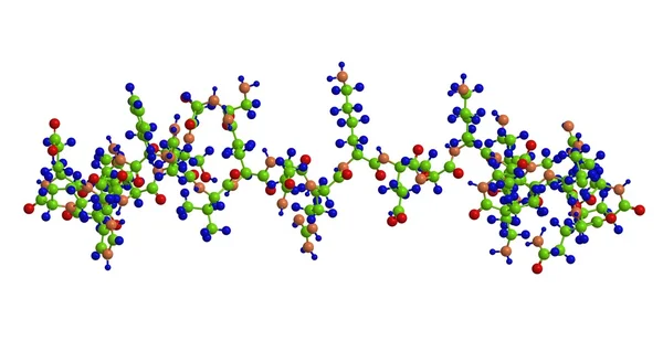 Estructura molecular de Ghrelin —  Fotos de Stock