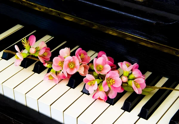 Biglietto di condoglianze - fiore al pianoforte — Foto Stock