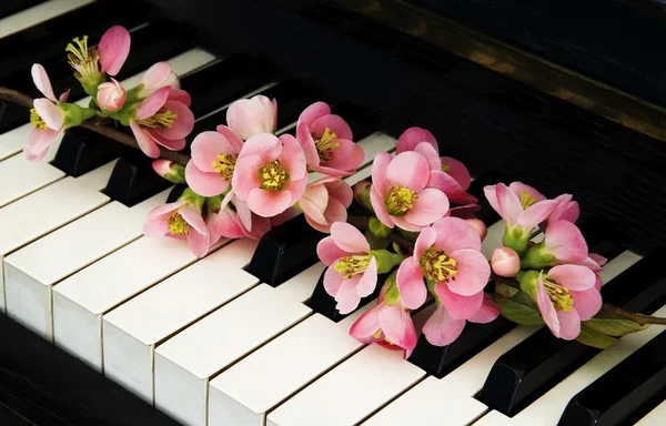 Cartão de condolências - flor no piano — Fotografia de Stock