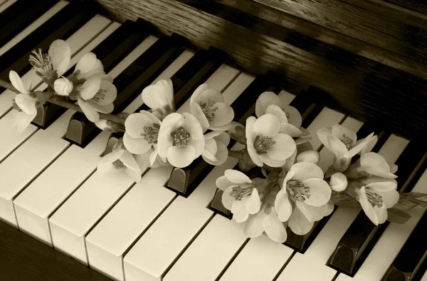 慰问卡-在钢琴上的花 — 图库照片