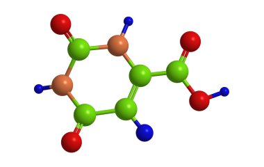 Orotic asit (vitamin B13 moleküler yapısı)