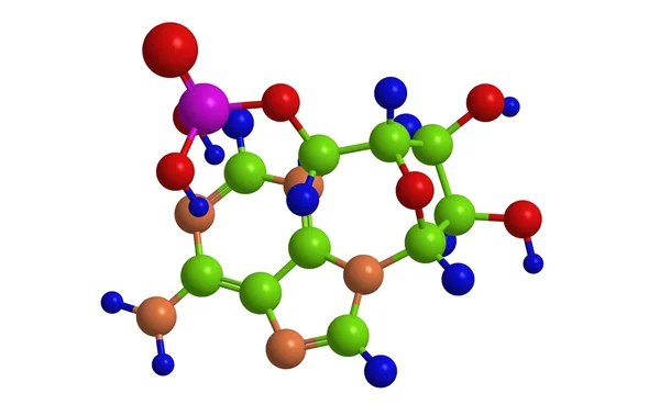 Struttura molecolare dell'adenosina monofosfato (vitamina B8 ) — Foto Stock