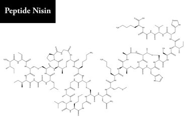 Molecular structure of peptide Nisin clipart