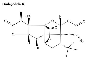 Ginkgolide b (Ginkgo biloba ağacı moleküler yapısı)