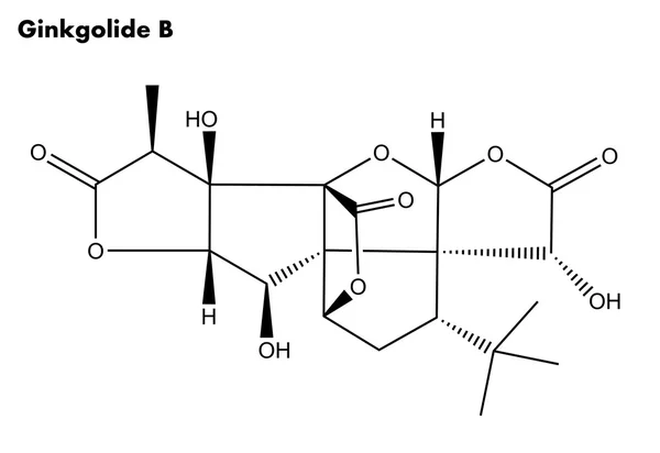 Estructura molecular de Ginkgolide B (Ginkgo biloba tree ) — Foto de Stock
