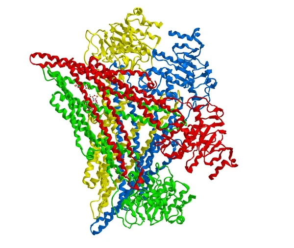 Молекулярная структура P-гликопротеина — стоковое фото