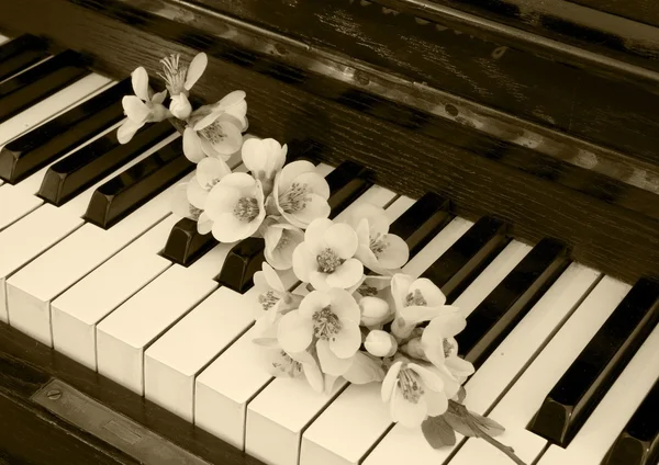 Kondolenzkarte - Blume am Klavier — Stockfoto