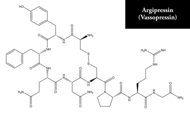 Ve (vazopressin moleküler yapısı)