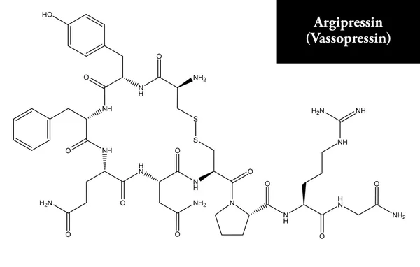 Μοριακή δομή του Argipressin (βαζοπρεσσίνης) — Φωτογραφία Αρχείου
