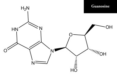 Guanozin moleküler yapısı