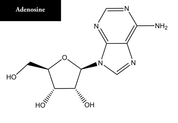 Estrutura molecular da adenosina — Fotografia de Stock