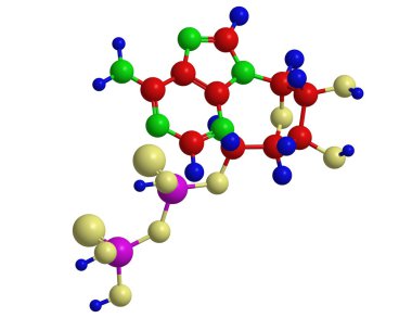 Molecular structure of adenosine diphosphate clipart