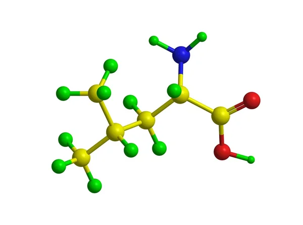 Molekularna struktura leucyny — Zdjęcie stockowe