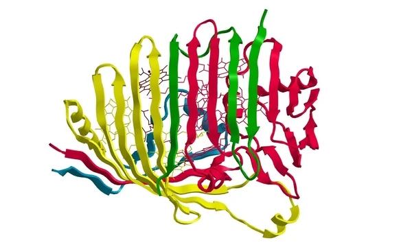 Estrutura molecular da Bacetrioclorofila — Fotografia de Stock