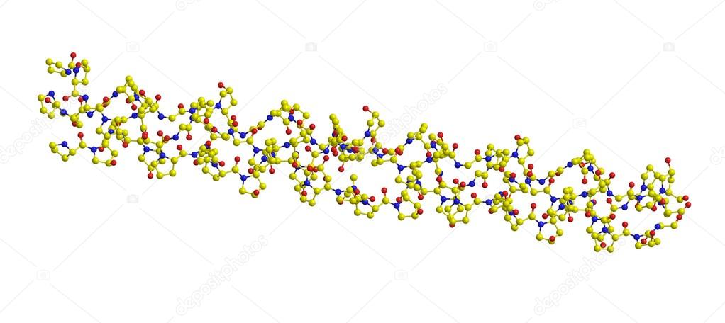 Molecular structure of collagen