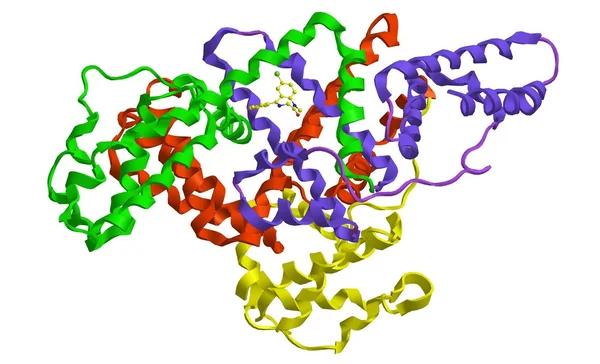 Moleculaire structuur van menselijk serum albumine en diazepam — Stockfoto