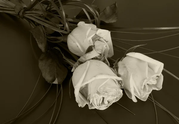 Kondolencje karta wih kwiat — Zdjęcie stockowe