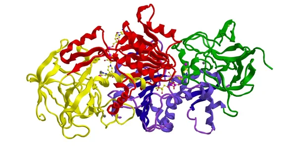 Moleculaire structuur van menselijke bèta 3 alcoholdehydrogenase — Stockfoto