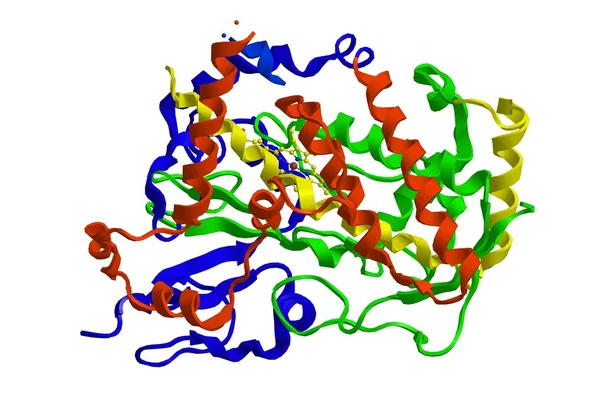 Molekulare Struktur von Cytochrom p450 — Stockfoto