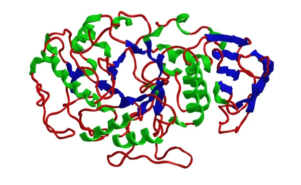 Molekulare Struktur der Alpha-Amylase — Stockfoto