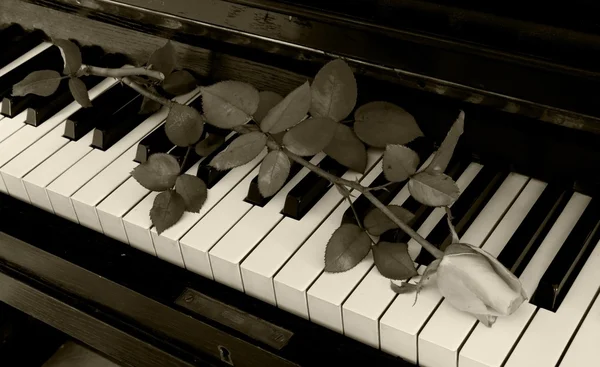 Kondolenzkarte - Rose am Klavier — Stockfoto