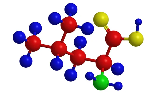 Molekulare Struktur von Leucin — Stockfoto