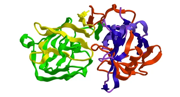 Estrutura molecular da enzima pepsina — Fotografia de Stock