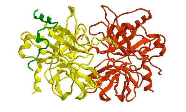 Molekulare Struktur von Thrombin — Stockfoto
