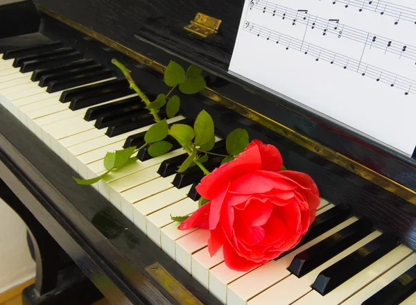 Condolence card - roses on piano