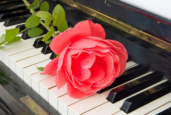 Cartão de condolências - rosas no piano — Fotografia de Stock