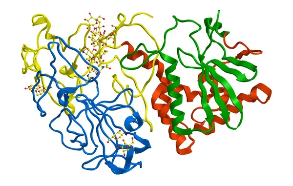 Estructura molecular de la ricina —  Fotos de Stock