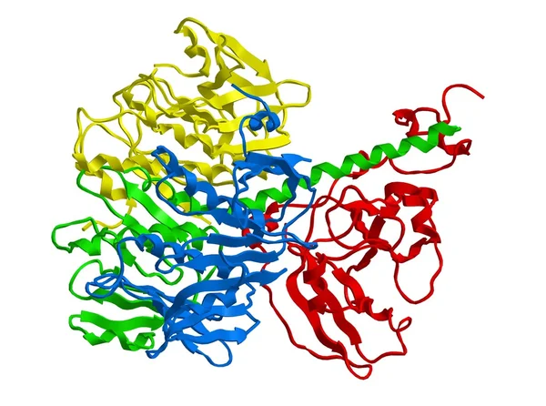 Estrutura molecular da toxina da cólera — Fotografia de Stock