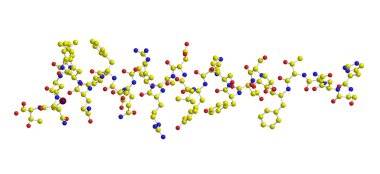 Glukagon moleküler yapısı
