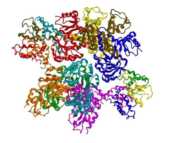 Estructura molecular de la bomba de sodio-potasio — Foto de Stock