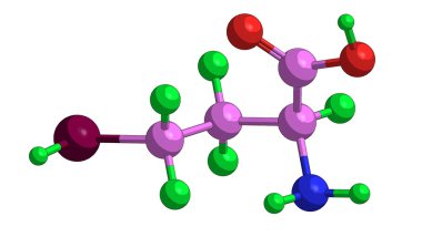Homosistein moleküler yapısı