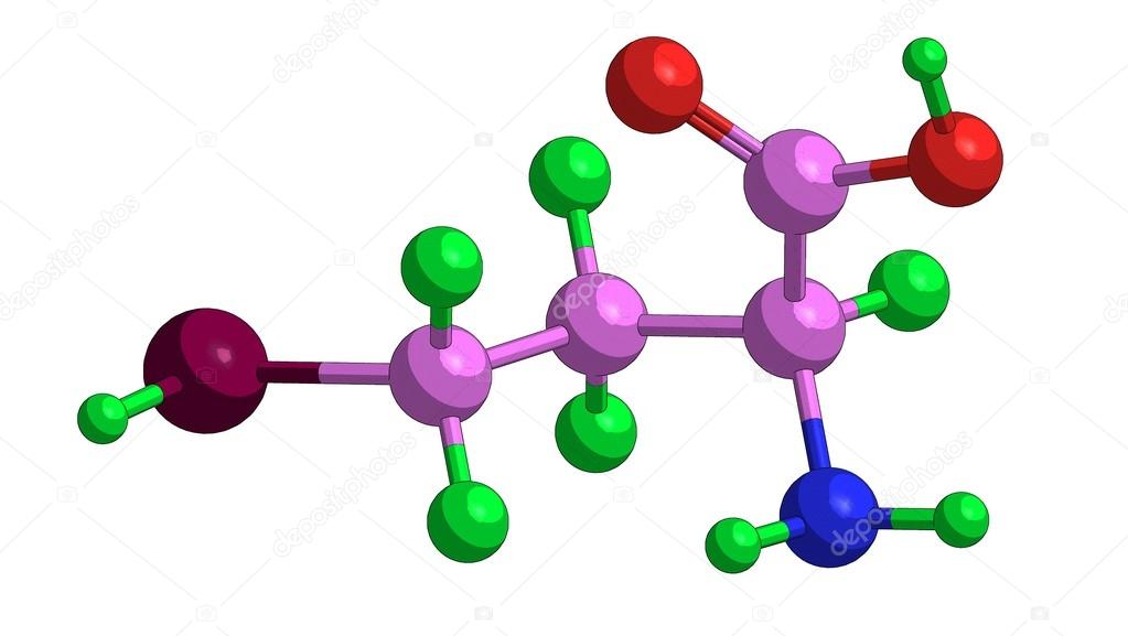 Molecular structure of homocysteine