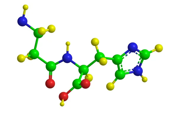 Moleküler yapısı carnosine — Stok fotoğraf