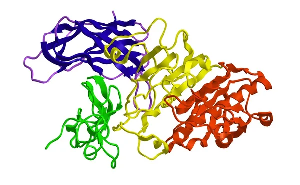 胰腺癌的脂肪酶分子的结构 — 图库照片