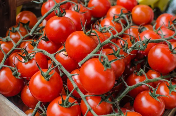 Olgun kiraz domatesleri