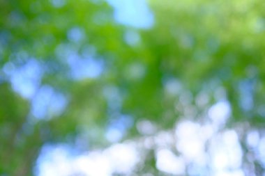 Arka plan için yumuşak, güzel bokeh