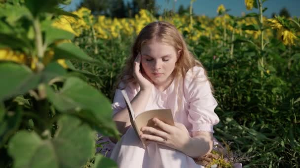 A young blonde girl in a sunflower field reads a book, looks around, waits — Stock Video