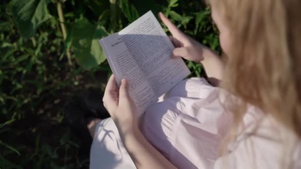 Uma jovem loira em um campo de girassol lê um livro, olha em volta, espera — Vídeo de Stock