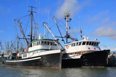 Balıkçı tekneleri dock.
