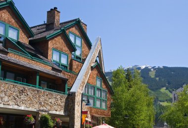 Whistler mimarisi