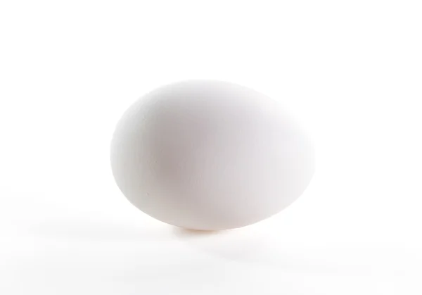 Bílá slepice vejce — Stock fotografie