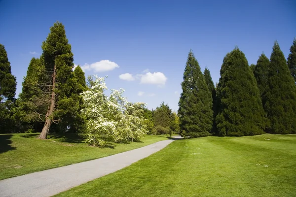 Spring in the Park Stock Image