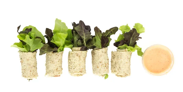 Tisztítsa meg az élelmiszer - roll saláta és egészséges fehér mártással — Stock Fotó