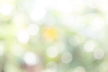 doğa soyut bokeh arka plan