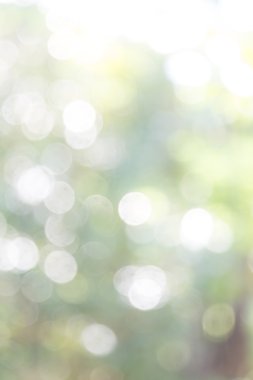 doğa soyut bokeh arka plan