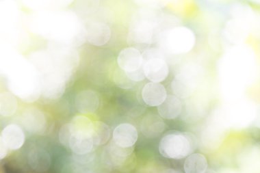 doğa soyut bokeh arka plan